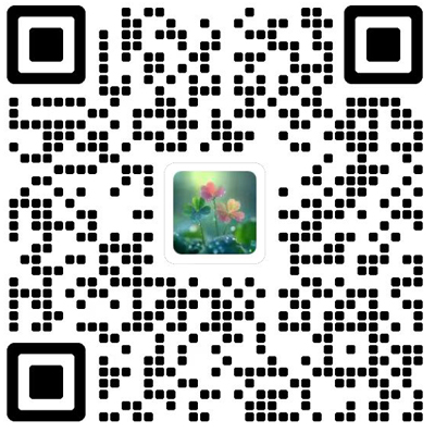 经济与社会发展杂志模板